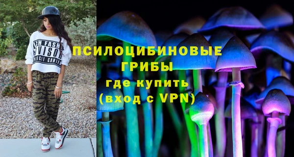 синтетический гашиш Елизово