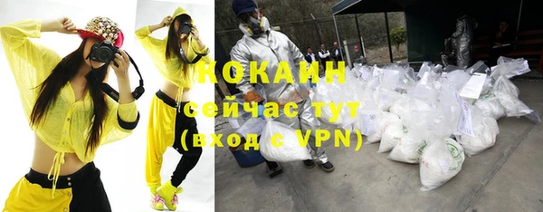 крисы Шали