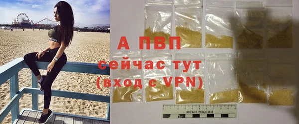 ALPHA PVP Ельня