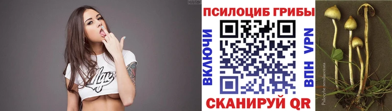 Галлюциногенные грибы мицелий Стародуб